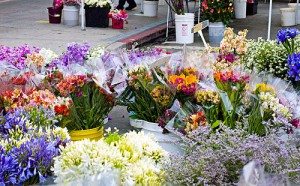 OBfarmmarketflowers