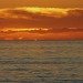 Thumbnail image for OB Flashes – News, Calendar, and Discussion Board for January 4 – 10, 2010
