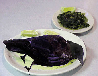 [Image: Crow-plate.jpg]
