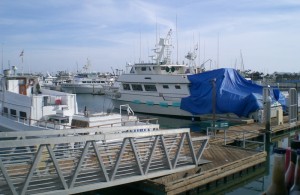 Mitchs Seafood jc 02