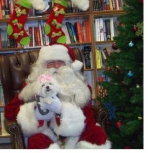 Santa Claus w dog
