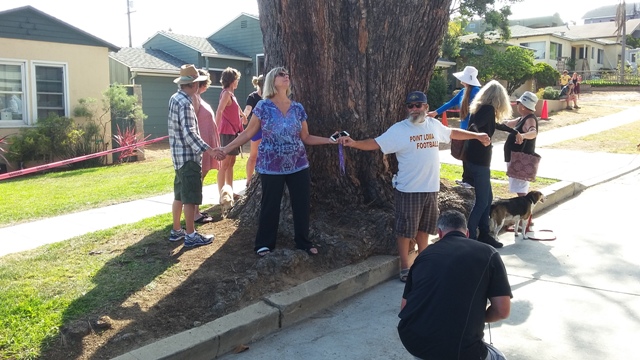 OB Torrey protest 8-4-16 circle best
