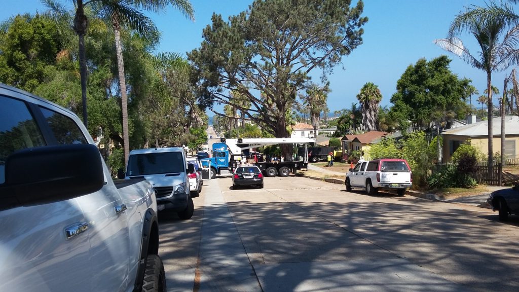 ob-torrey-protest-goodtree-dist