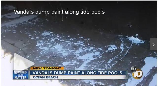 ob-mama-bear-othervandal-paint