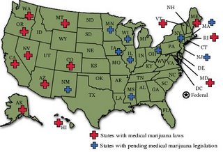 Making A Sacramento Medical Marijuana Oil
